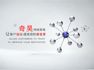 上海個人網絡營銷與運營指南 技術與個性化推廣實戰